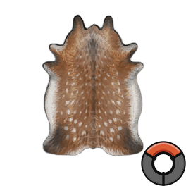 Limed Perfect Deer Hide