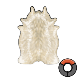 Scraped Perfect Sheep Hide
