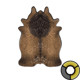 Scraped Superior Bison Hide