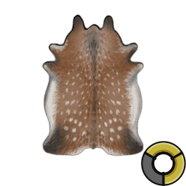 Tanned Superior Deer Hide