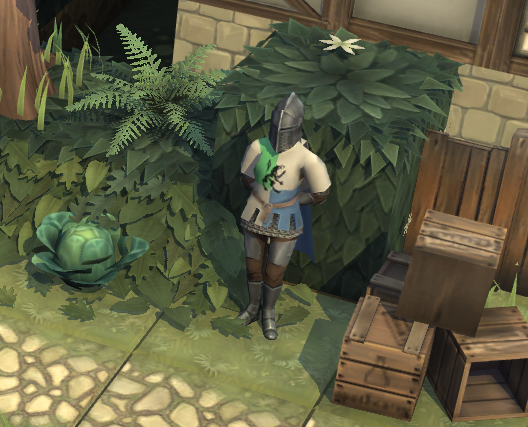 Guard (1)