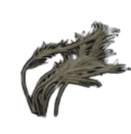 Rubbery Pond Weed