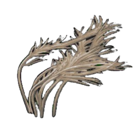 Reaching Pond Weed