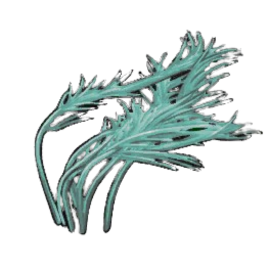 Tangled Pond Weed