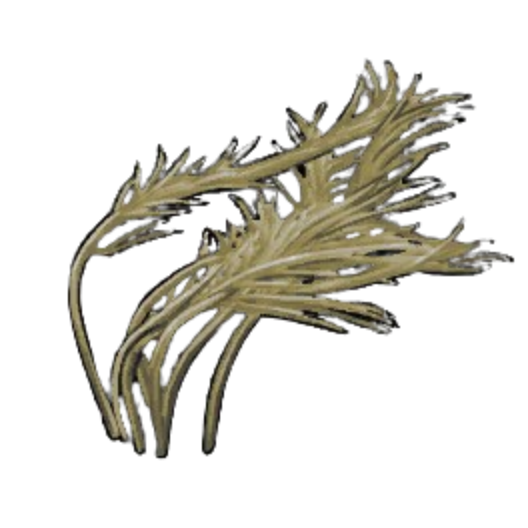 Silty Pond Weed