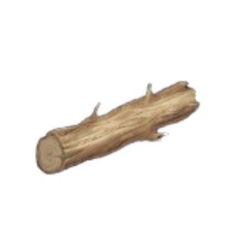 Robust Hickory Log
