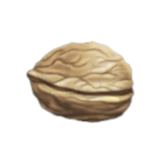 Walnut Enchantment Potion Reagent