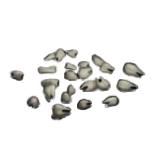 Ghoul Teeth Enchantment Potion Reagent
