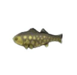 Jumbo Bass