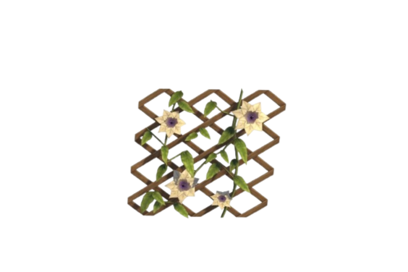 Node: Creamy Wall Plant