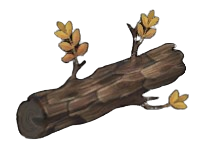 Moderate Ash Log