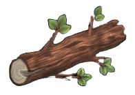 Basic Teak Log