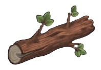 Moderate Teak Log