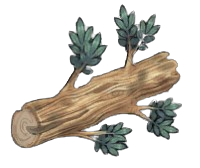 Basic Hickory Log