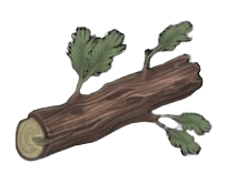 Moderate Juniper Log