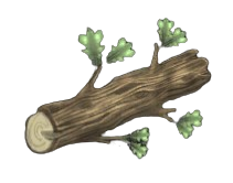 Basic Oak Log