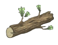 Moderate Oak Log