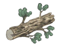 Basic Pine Log