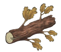 Basic Yew Log