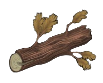 Moderate Yew Log