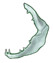 Brittle Shark Jaw (Brewed)