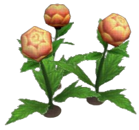 Mantua Globeplant
