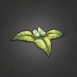 Brightblade Nettle