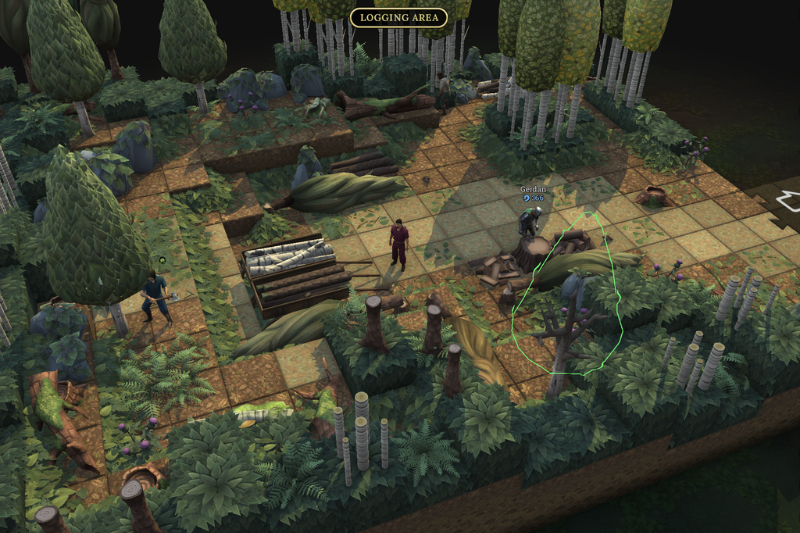 Logging Area