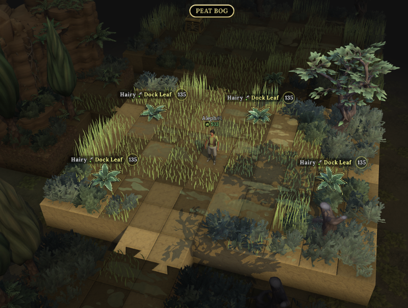 Peat Bog