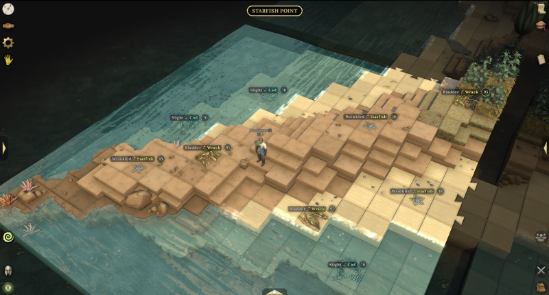 Starfish Point