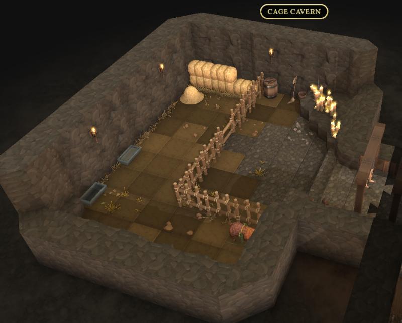 Cage Cavern
