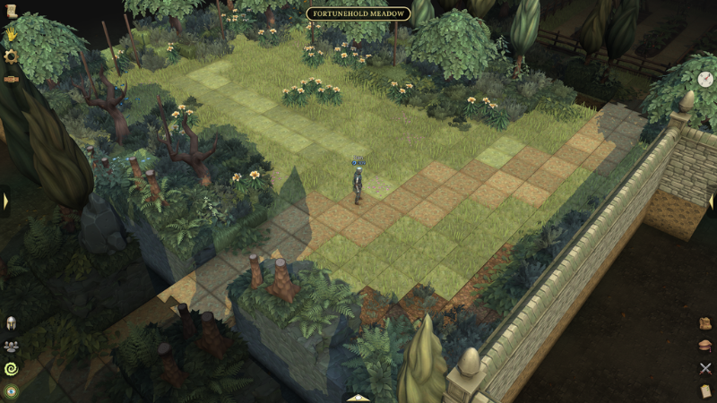 Fortunehold Meadow