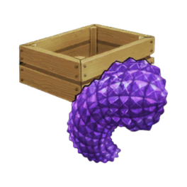 Heliotrope Purpladium