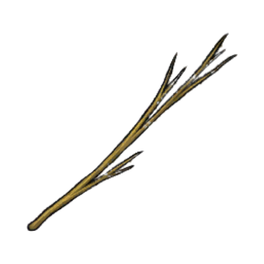 Average Willow Branches