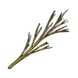 Robust Willow Branches