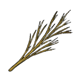 Sturdy Willow Branches