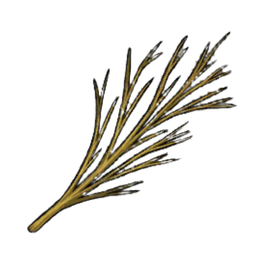 Strong Willow Branches