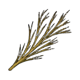 Excellent Willow Branches