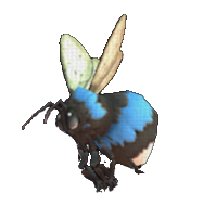 Shelbee