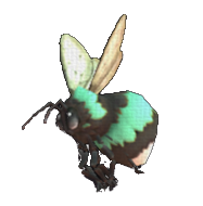 Maebee