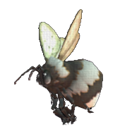 Libee
