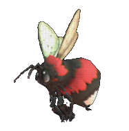 Rubee