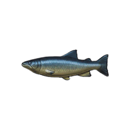 Joyful Salmon