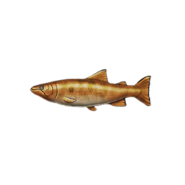 Orange Salmon