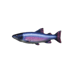 Flamboyant Salmon
