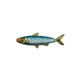 Oily Sardines