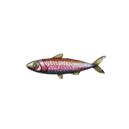 Rainbow Sardines