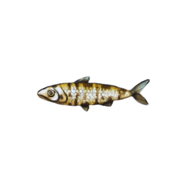 Patterned Sardines