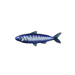 Blue Sardines