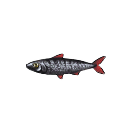 Oddly Strong Sardines